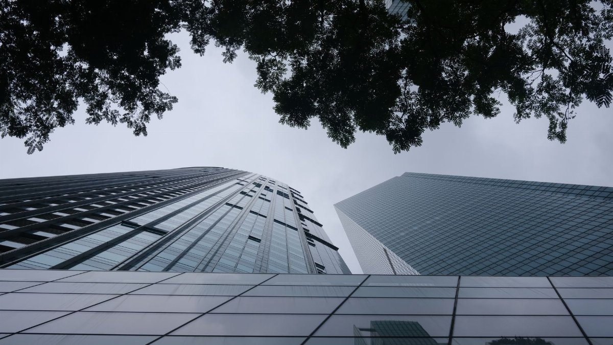 Low-angle shot of towering skyscrapers with tree branches framing the sky.