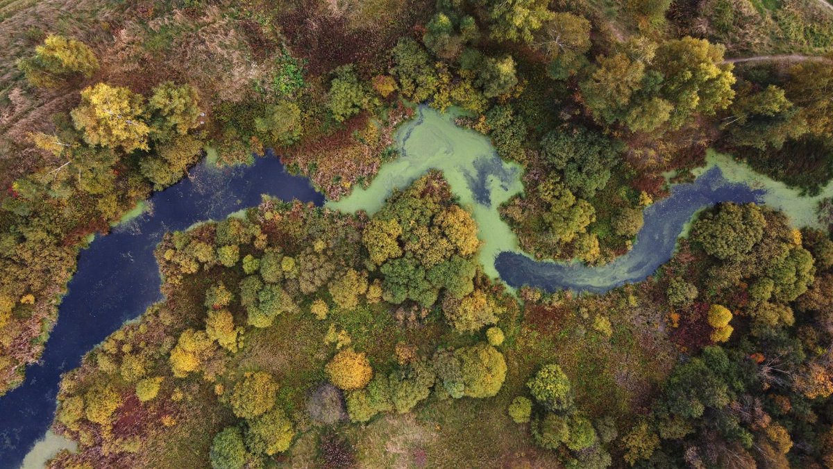 A breathtaking aerial view of a river winding through a lush forest in Nekrasovskiy, Russia.