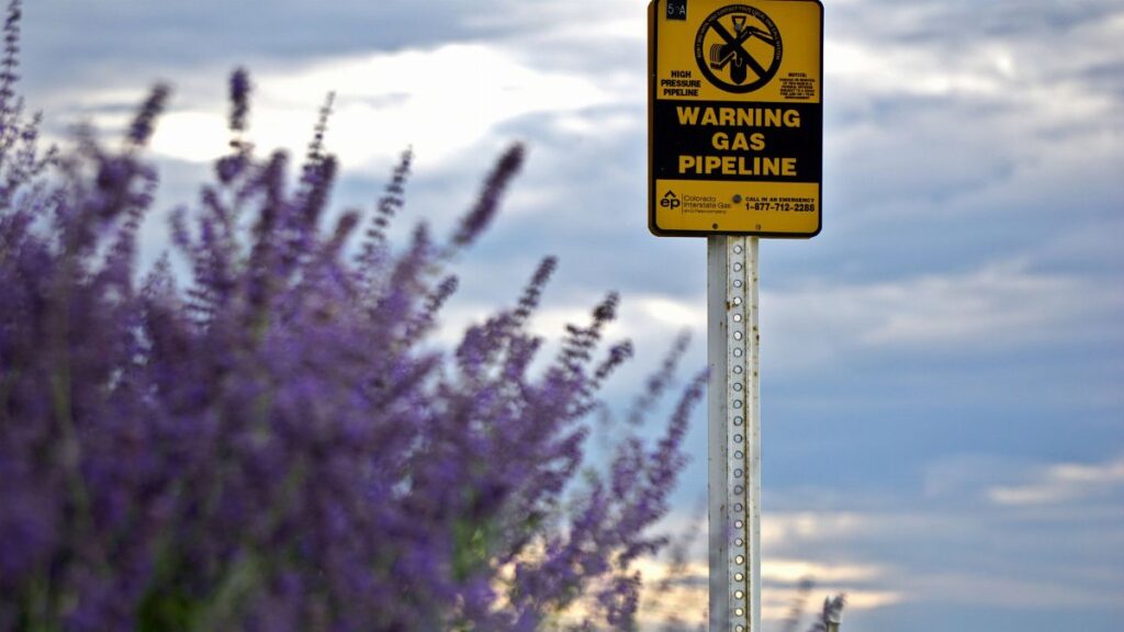 A caution sign for gas pipeline amidst a field of blooming lavender with cloudy skies.