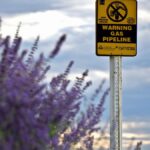 A caution sign for gas pipeline amidst a field of blooming lavender with cloudy skies.