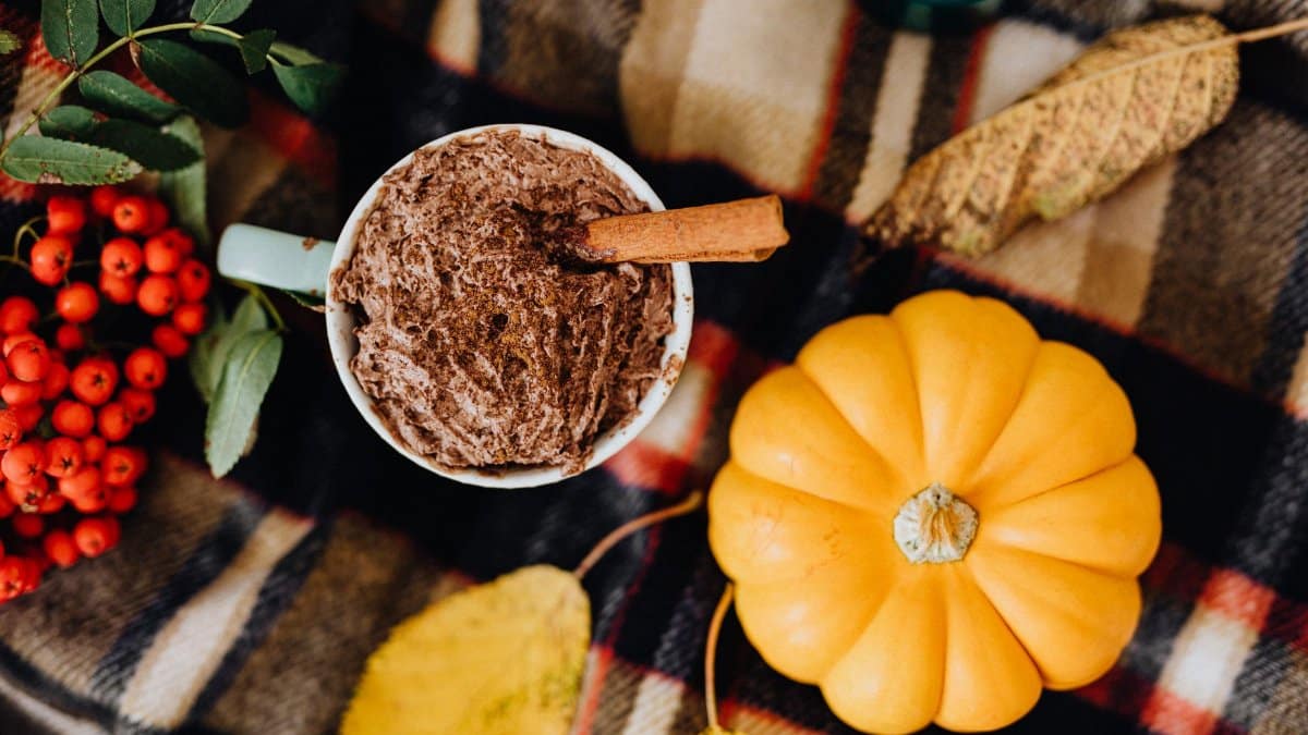 Warm autumn scene featuring a pumpkin, chocolate drink, and fall leaves on a plaid blanket.