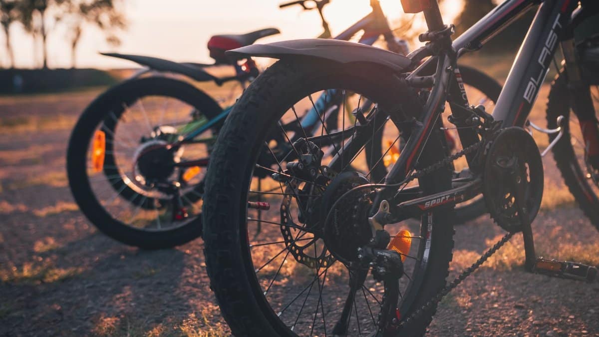 Close-up of bicycle wheels during golden hour in a park, Lviv, Ukraine.