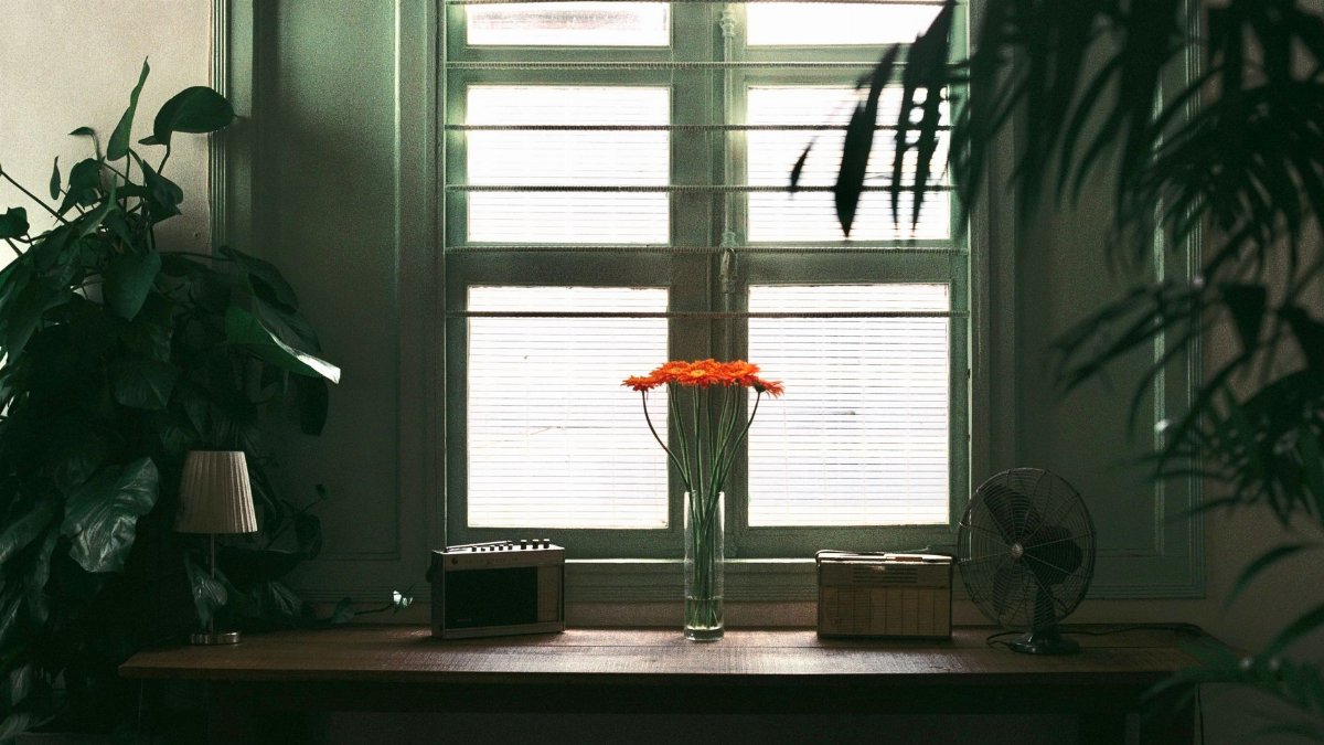 A serene indoor setting featuring a table with orange flowers, plants, and a window view.