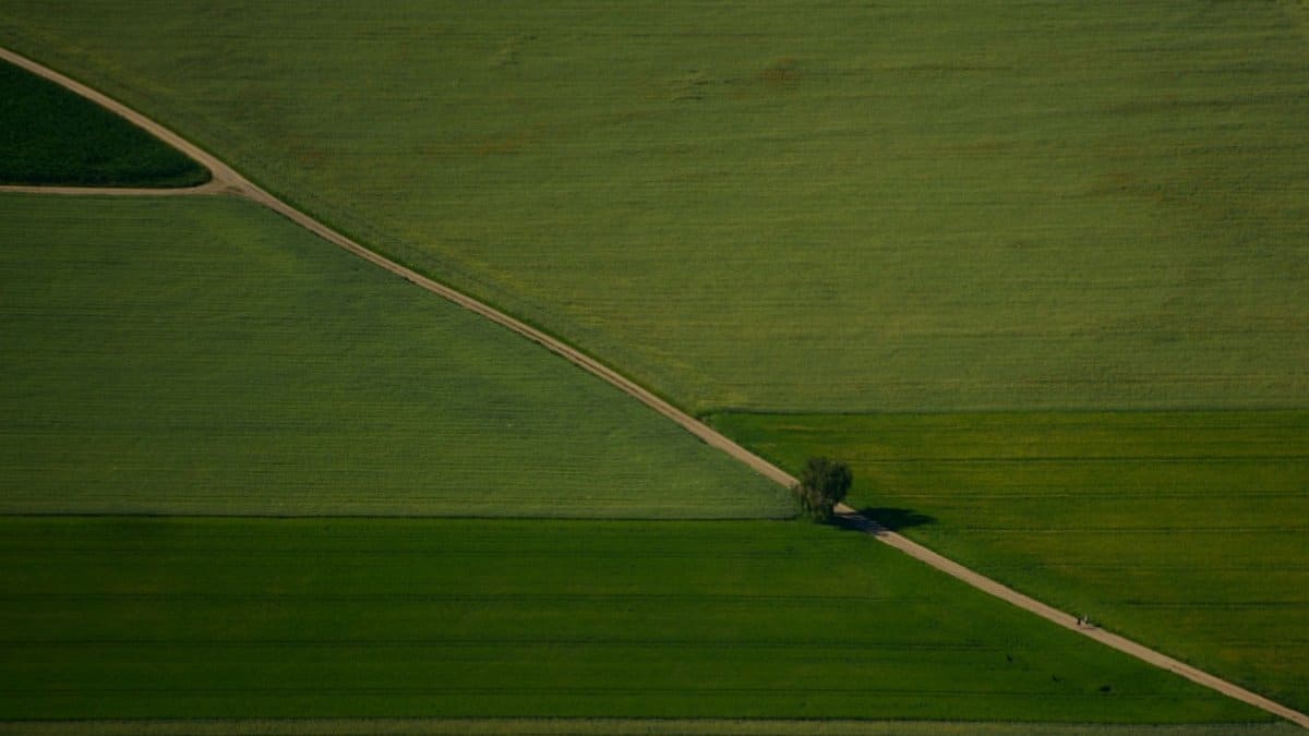 Stunning aerial view of green fields with a lone tree and winding pathway. Perfect for nature themes.