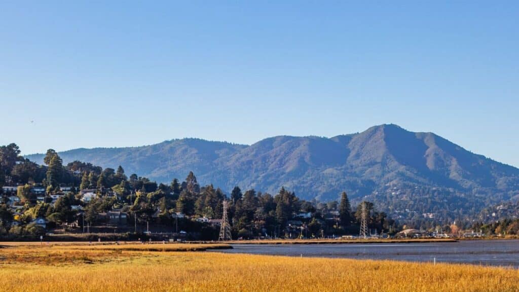 Picturesque landscape of Mount Tamalpais overlooking a serene rural area with houses and trees.