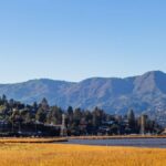 Picturesque landscape of Mount Tamalpais overlooking a serene rural area with houses and trees.