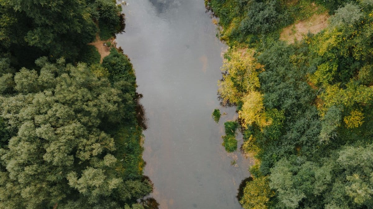 A beautiful aerial shot of a river flowing through lush summer forest.