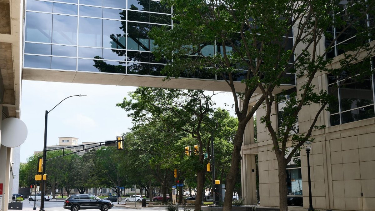 Modern urban scene in Fort Worth, Texas, featuring a glass skybridge and tree-lined street.