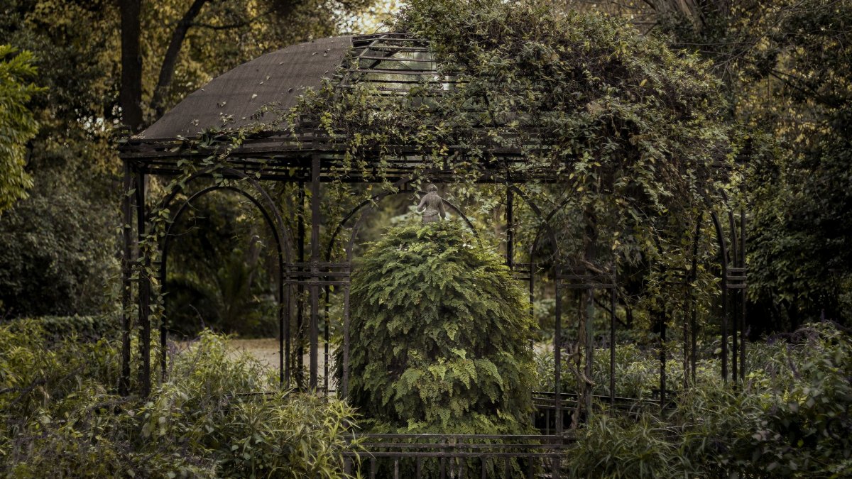 A verdant gazebo surrounded by lush greenery in Athens' botanical gardens.