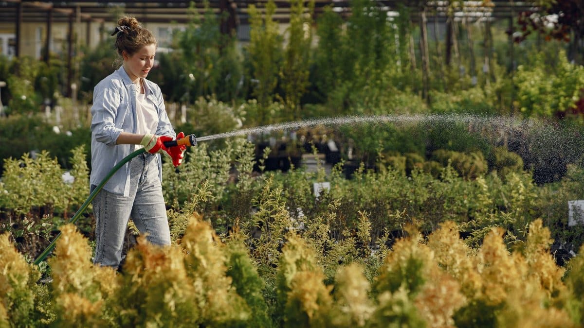 Caucasian woman watering plants with a hose in a garden nursery, surrounded by greenery.