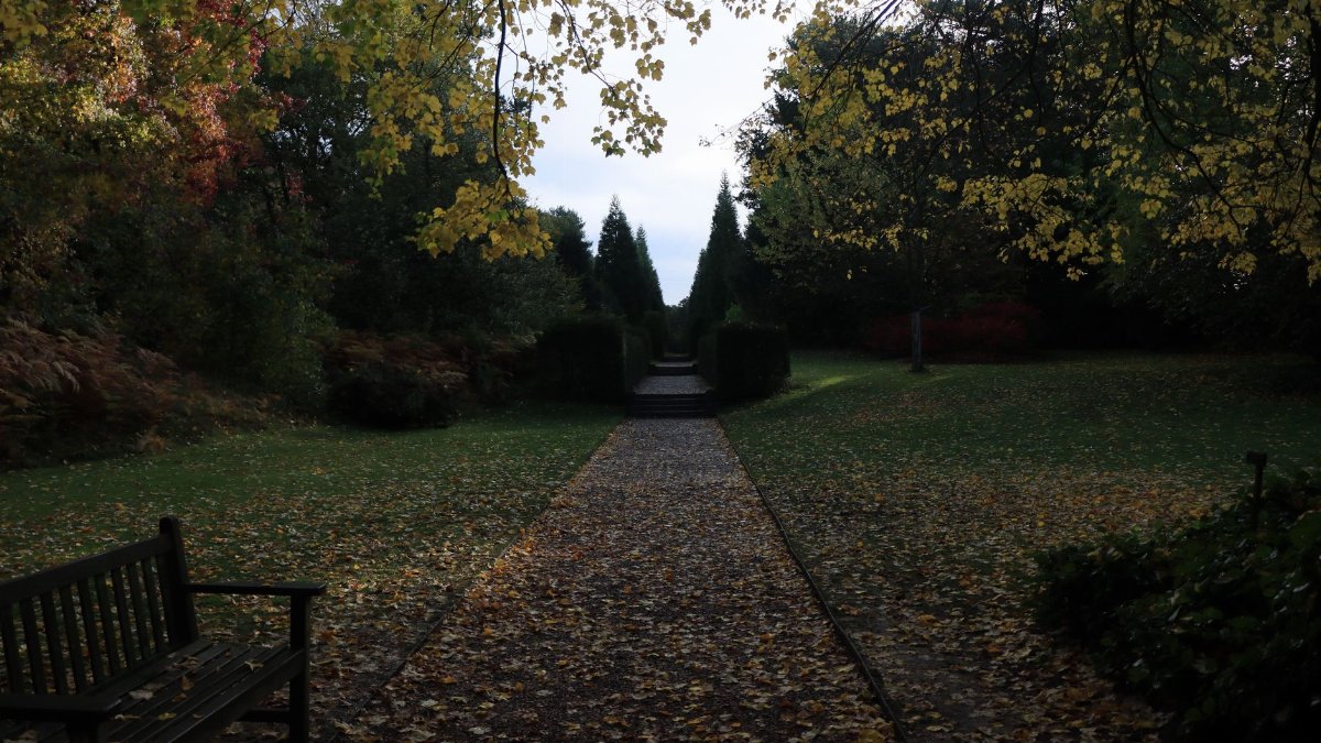 A tranquil park pathway covered with autumn leaves under colorful trees.