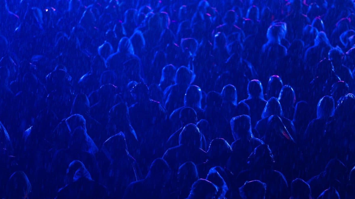 Silhouettes of a crowd in raincoats enjoying a night concert under colorful lights.