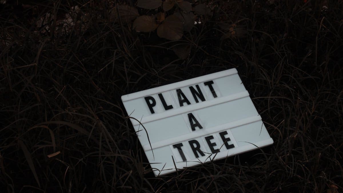 Letter board with 'Plant a Tree' slogan on grass, promoting eco-friendly habits.