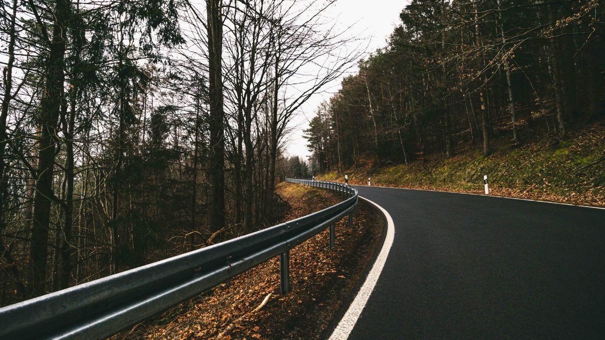 A peaceful curved road through a serene forest setting in early spring, capturing nature's beauty and calm.