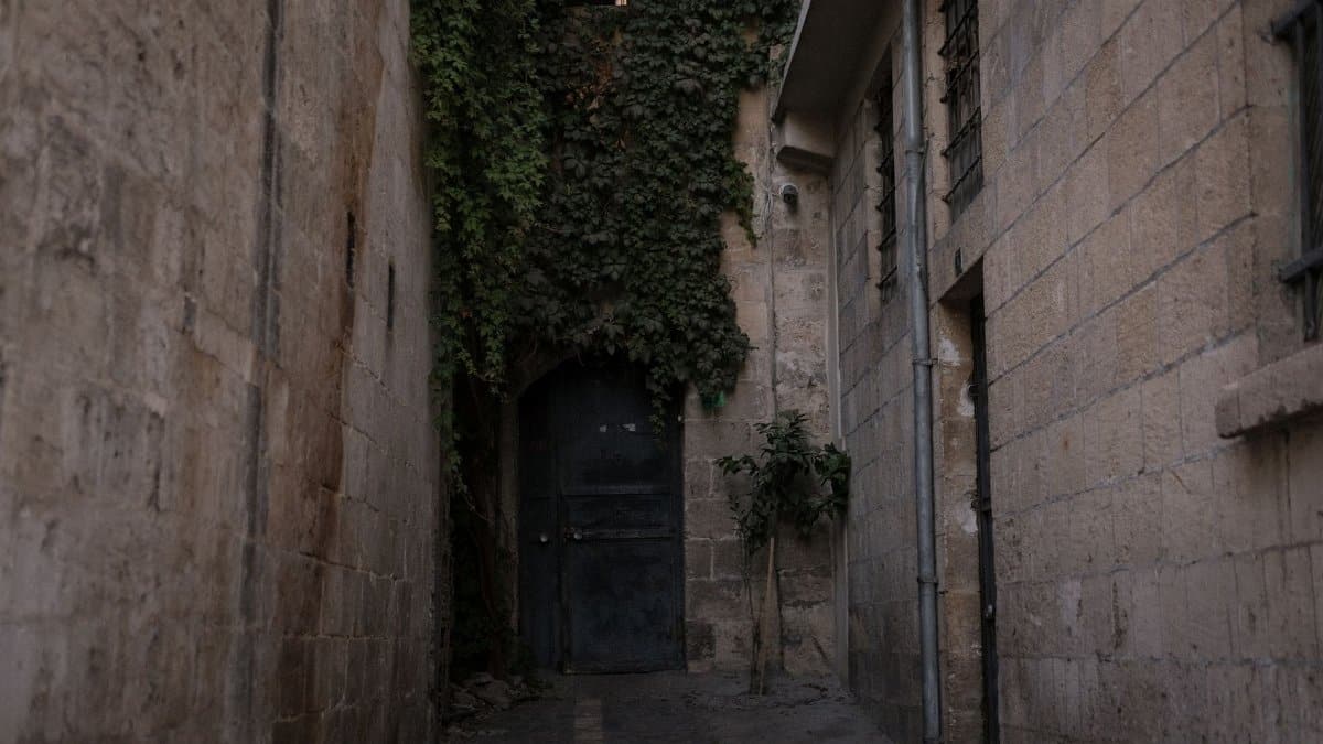 A narrow alley with ivy-covered walls and a rustic wooden door, creating a mysterious atmosphere.