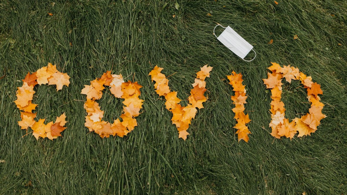 COVID spelled with autumn leaves and face mask on grass, representing pandemic season.