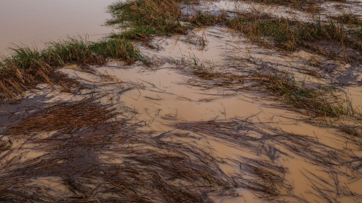 A flooded field with muddy water and grass, showcasing the aftermath of heavy rainfall and erosion.