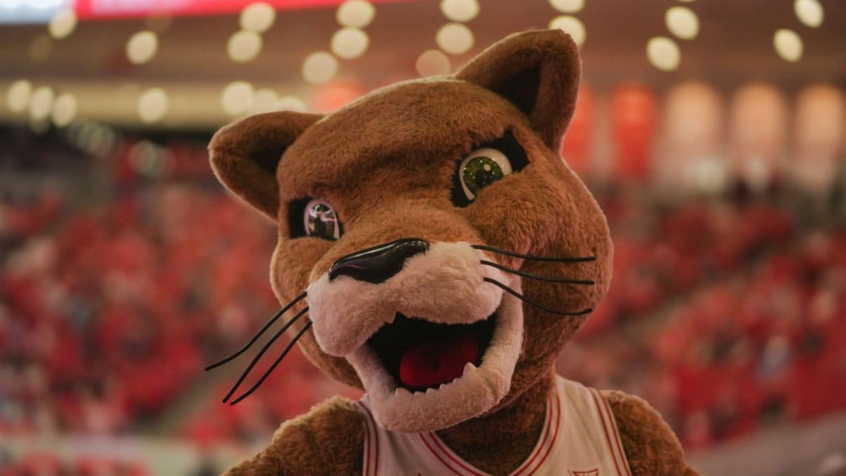 Energetic cougar mascot performing at a college basketball game indoors.