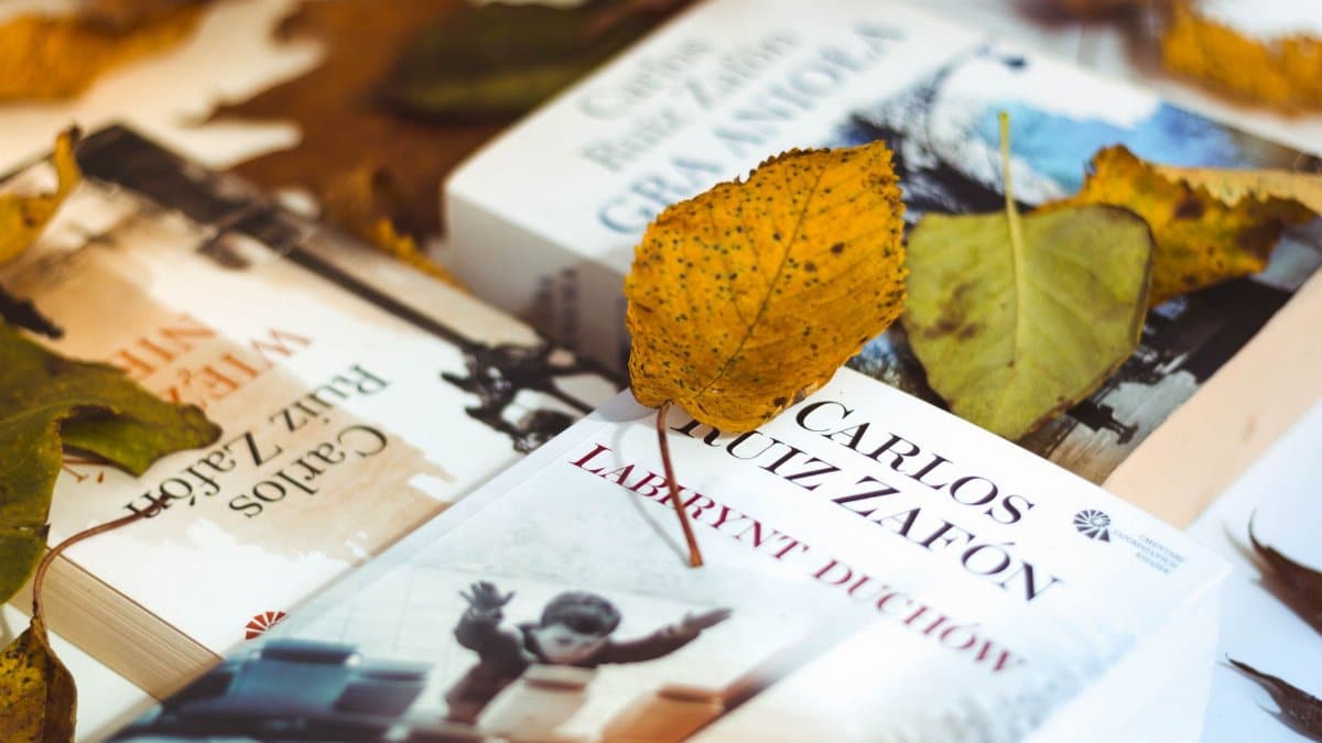 Warm autumn scene with books and fallen leaves, embodying cozy reading vibes.