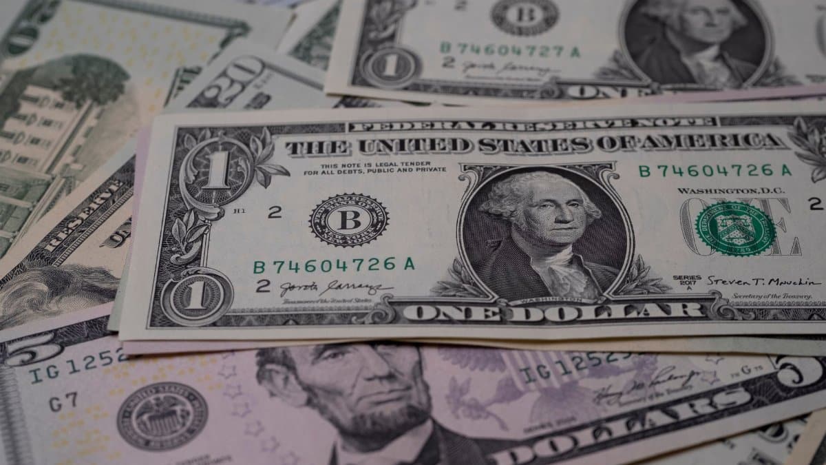 A detailed view of multiple denominations of US dollar bills symbolizing wealth and finance.