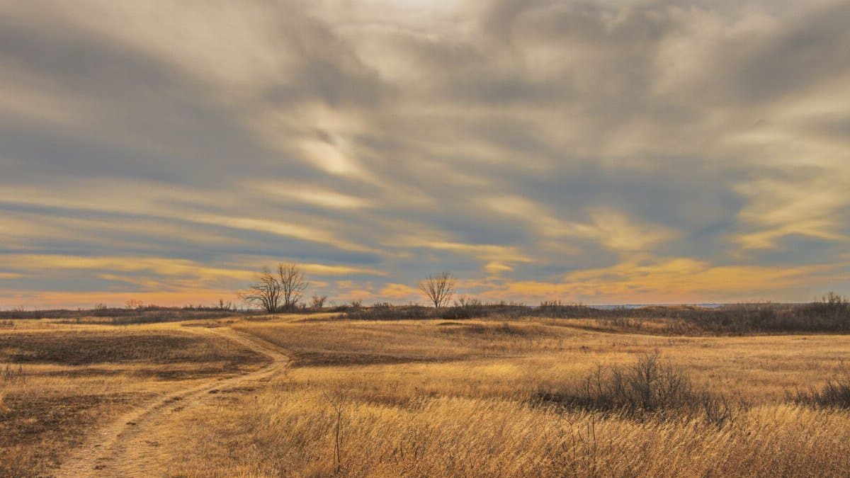 Serene prairie landscape in Saskatoon, Canada with vibrant sunset hues and wispy clouds.