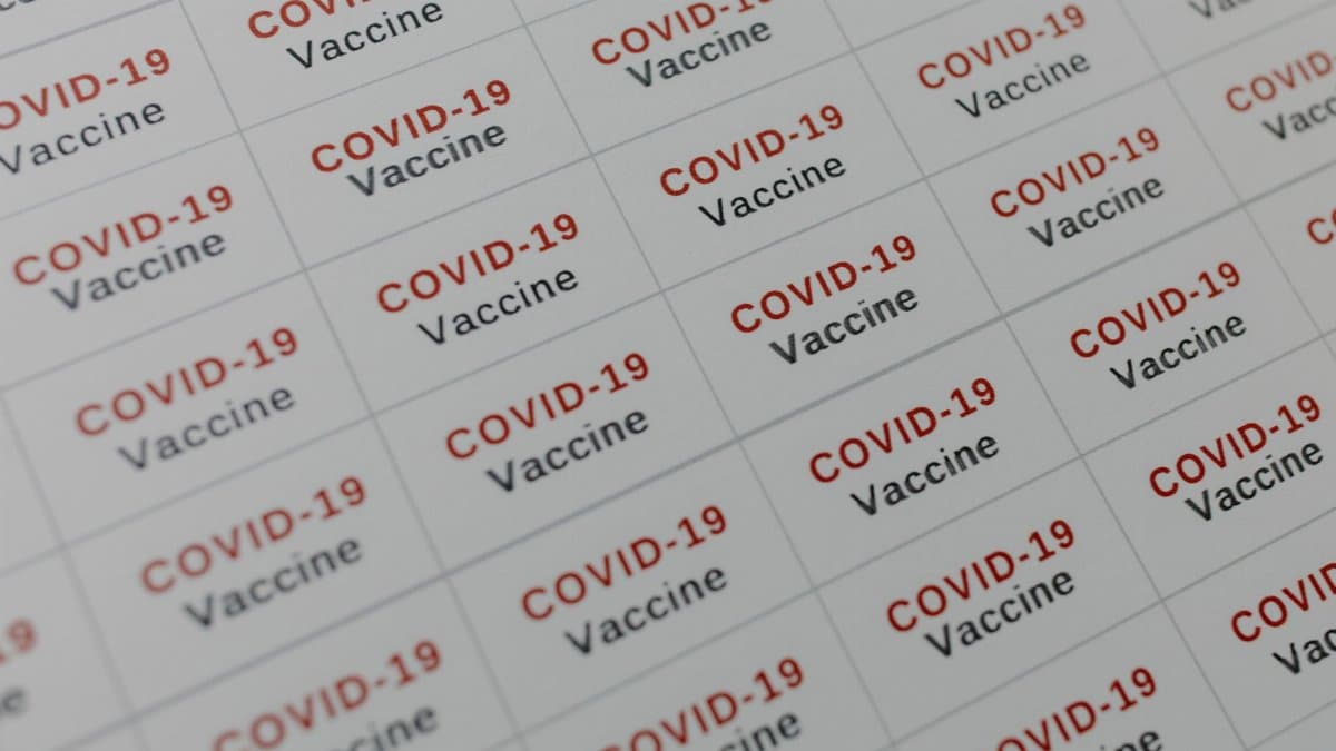 Grid of COVID-19 vaccine labels ready for medical and healthcare applications.
