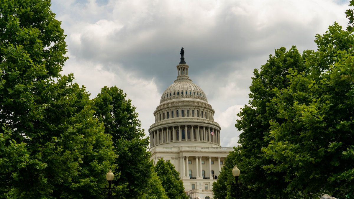 A stunning shot of the Capitol dome surrounded by green trees and cloudy sky in Washington, DC.