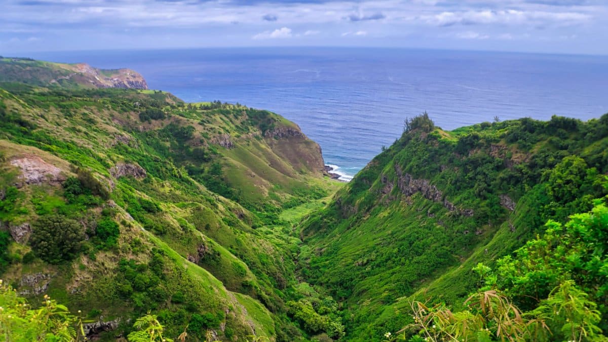 Explore the lush green valleys meeting the vast blue ocean in Hawaii, a serene natural landscape.