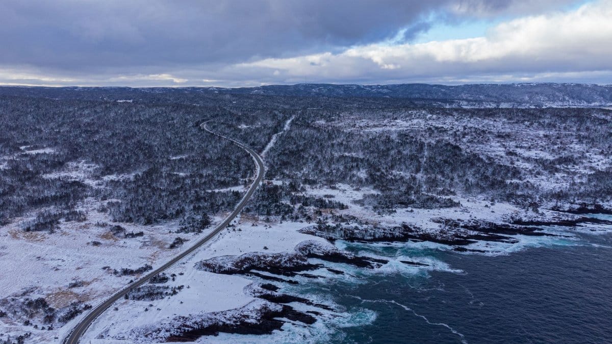 A stunning aerial view of a snowy winter landscape with coastline and forest in St. John's, Canada.