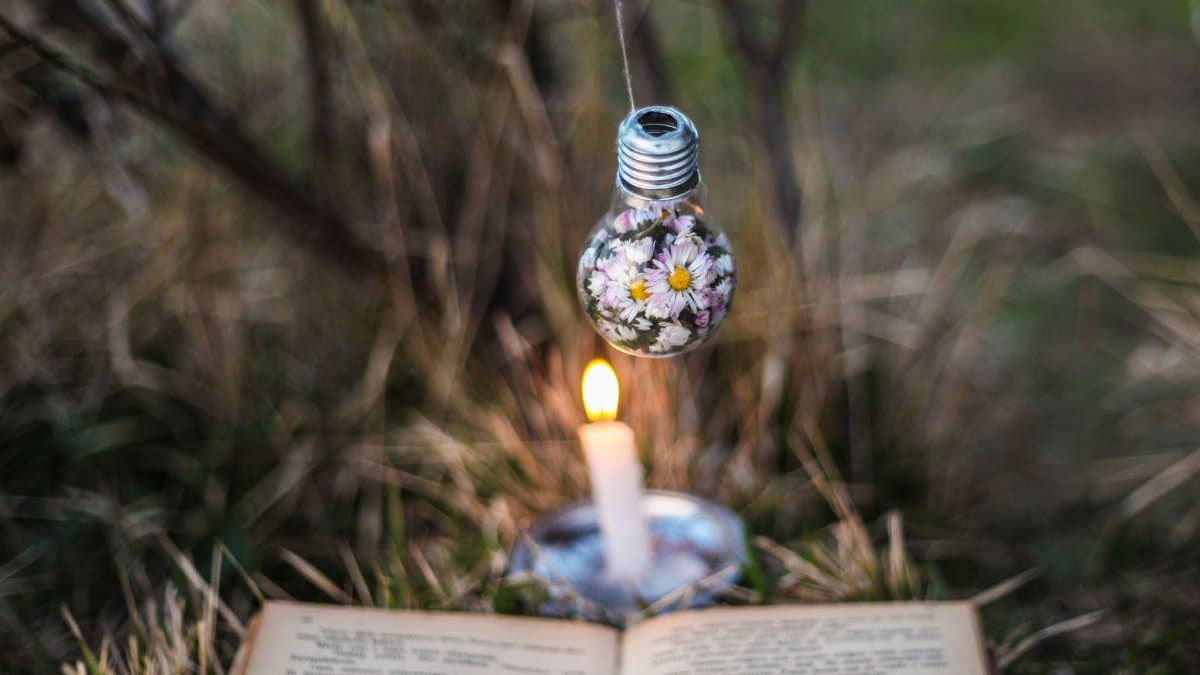 A creative outdoor scene with an open book, candle, and hanging floral light bulb beside a field.