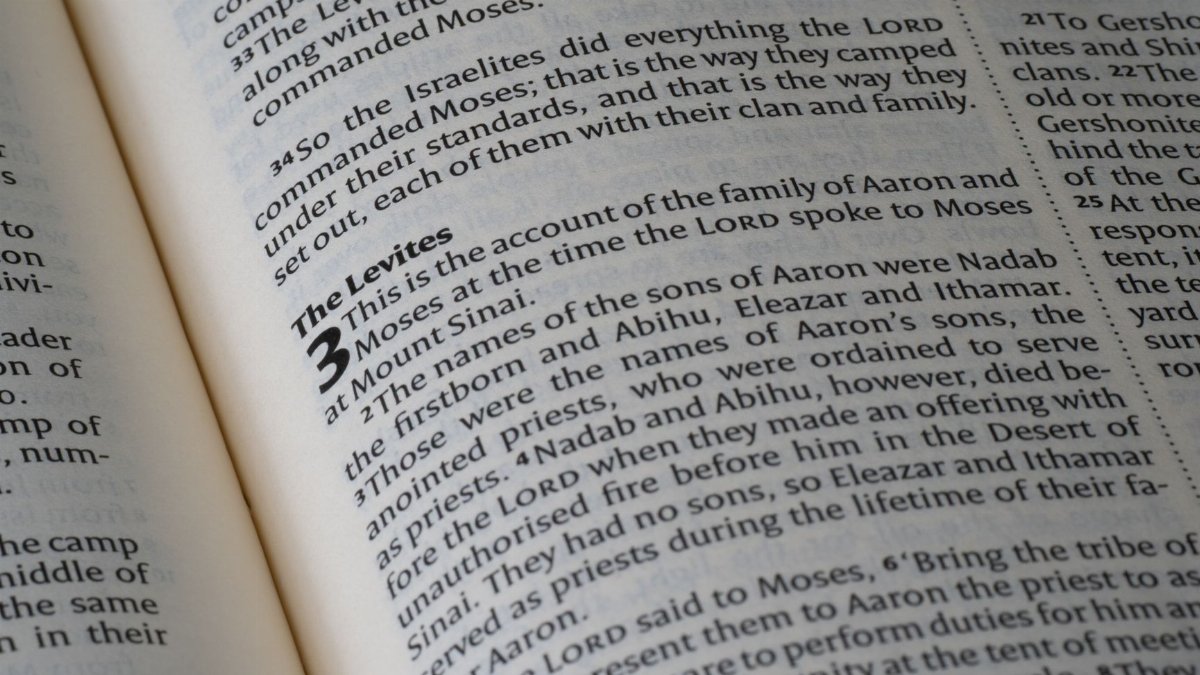 A focused view on the Book of Numbers from the Bible, highlighting religious text and study.