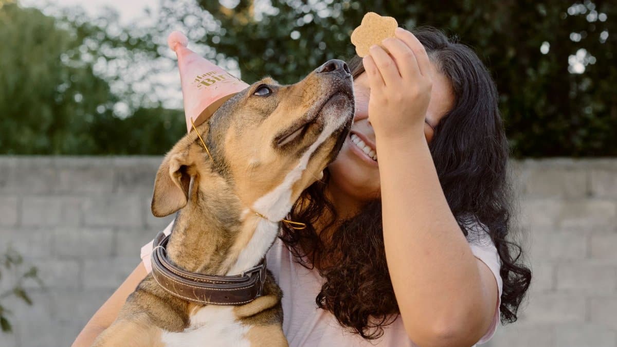 A woman joyfully holding a birthday treat for her dog wearing a party hat outdoors in Uruguay.