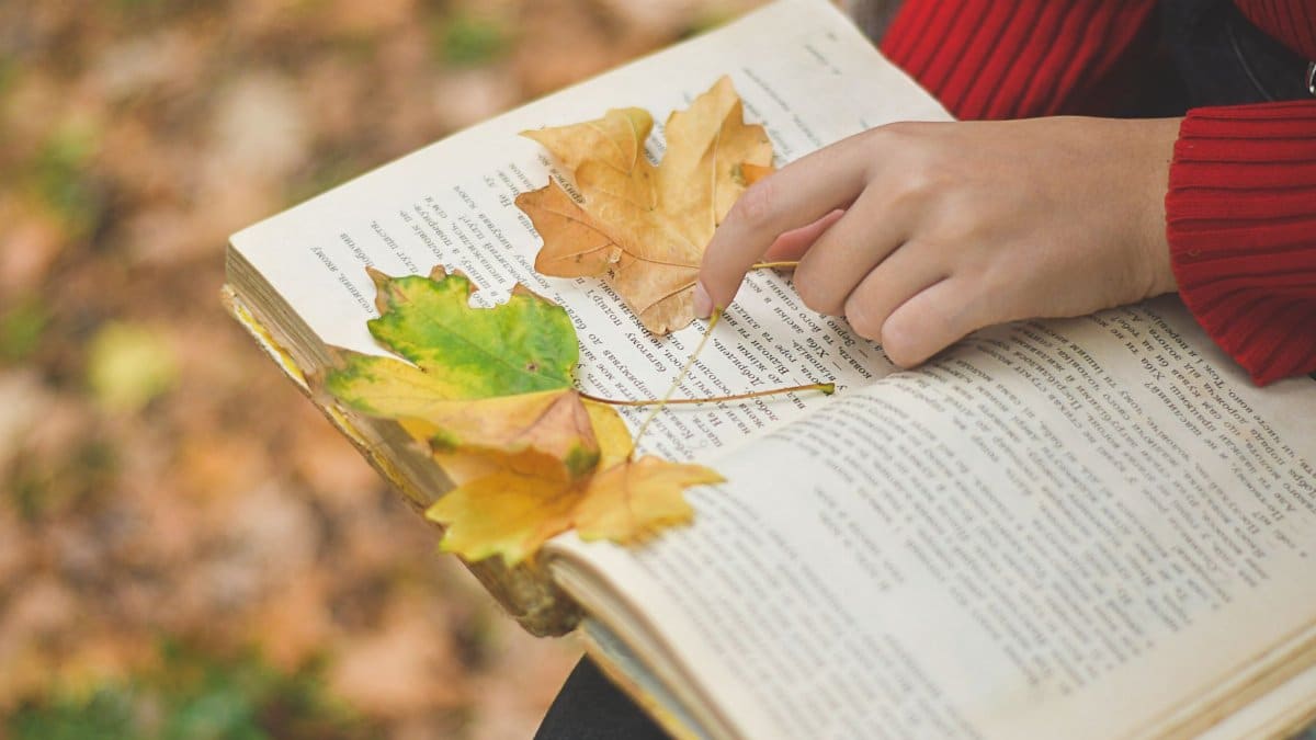 Hand pointing at an open book with autumn leaves scattered over the pages.