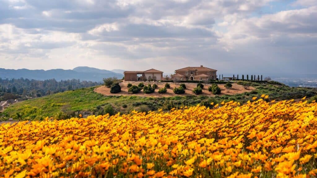 Discover a vibrant landscape in Redlands, CA, with a hillside house surrounded by a vibrant flower bloom.
