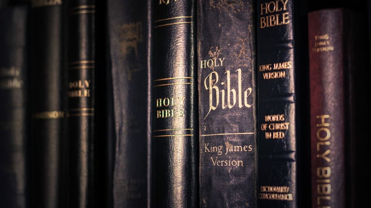 A detailed view of various King James Version Bibles, highlighting religious imagery.