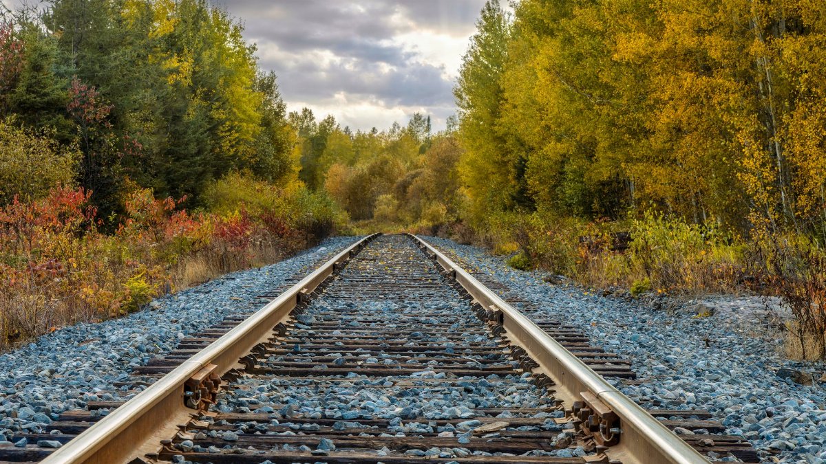 Explore the vibrant fall foliage along a serene railway track in Kirkland Lake, capturing the essence of autumn.