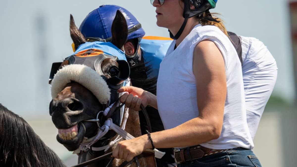 Dynamic close-up of a horse race with a jockey in Shakopee, capturing the thrill and intensity of the competition.