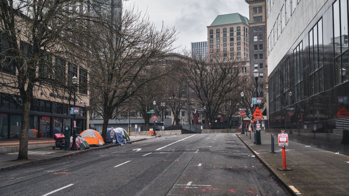 A city street with tents showing urban homelessness beneath bare trees on cloudy day.
