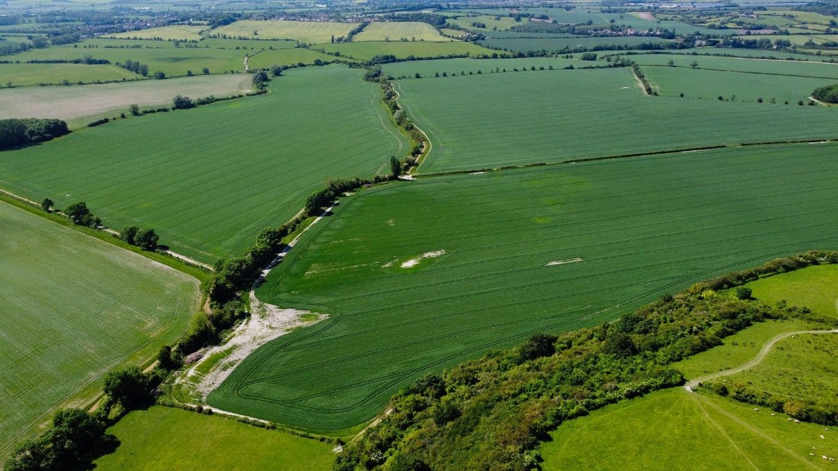 A breathtaking aerial view of expansive green fields in the countryside of Sharpenhoe, England.