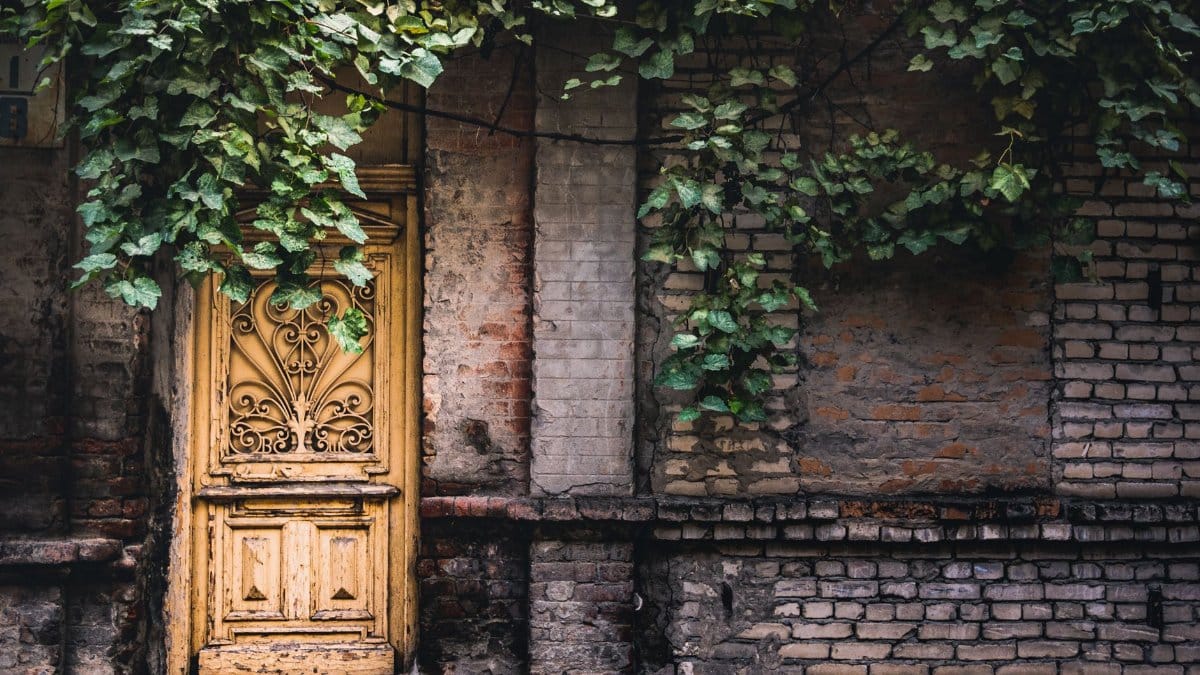 Charming brick building in Tbilisi, Georgia with ivy-covered yellow door. Perfect blend of architecture and nature.