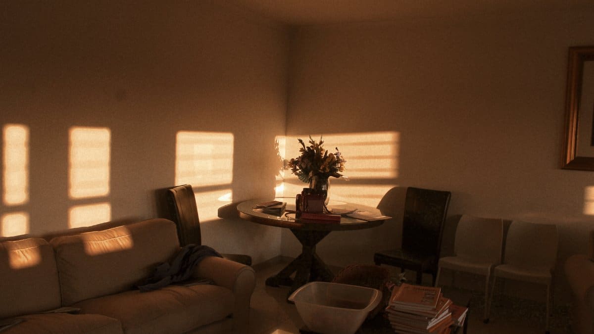 Warm and inviting living room setting enveloped in golden sunset light creating soft shadows on the walls.