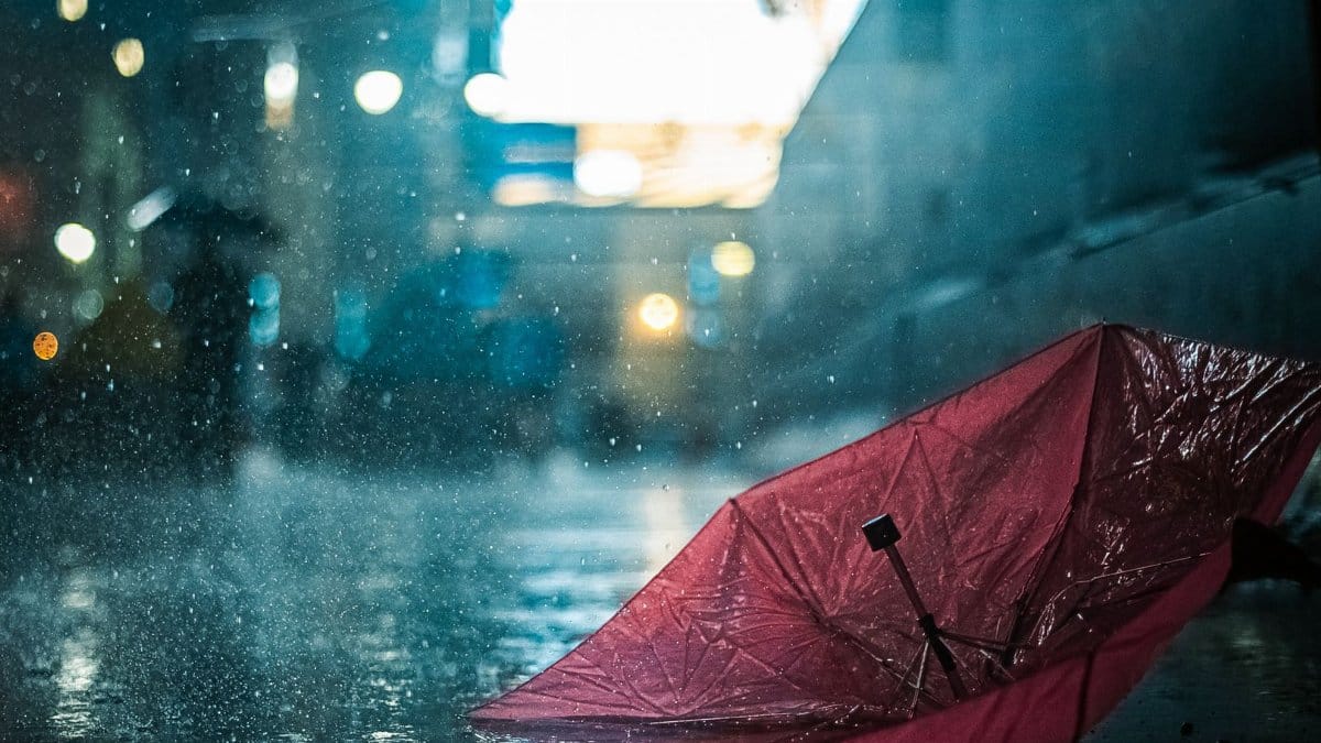 A vibrant pink umbrella lies upside down in the rain on a New York City street at night.