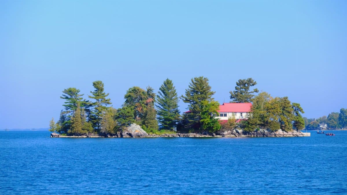 Beautiful island with a house surrounded by water and pine trees under clear blue sky.