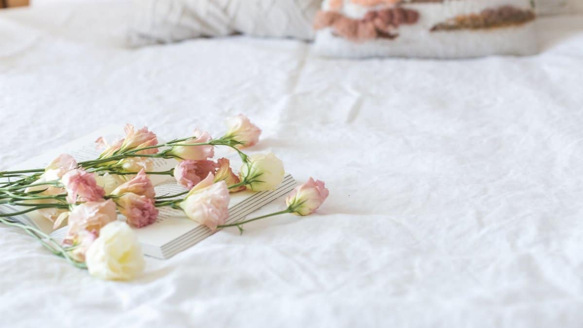 Delicate pink and white flowers on a bed, evoking romance and relaxation.