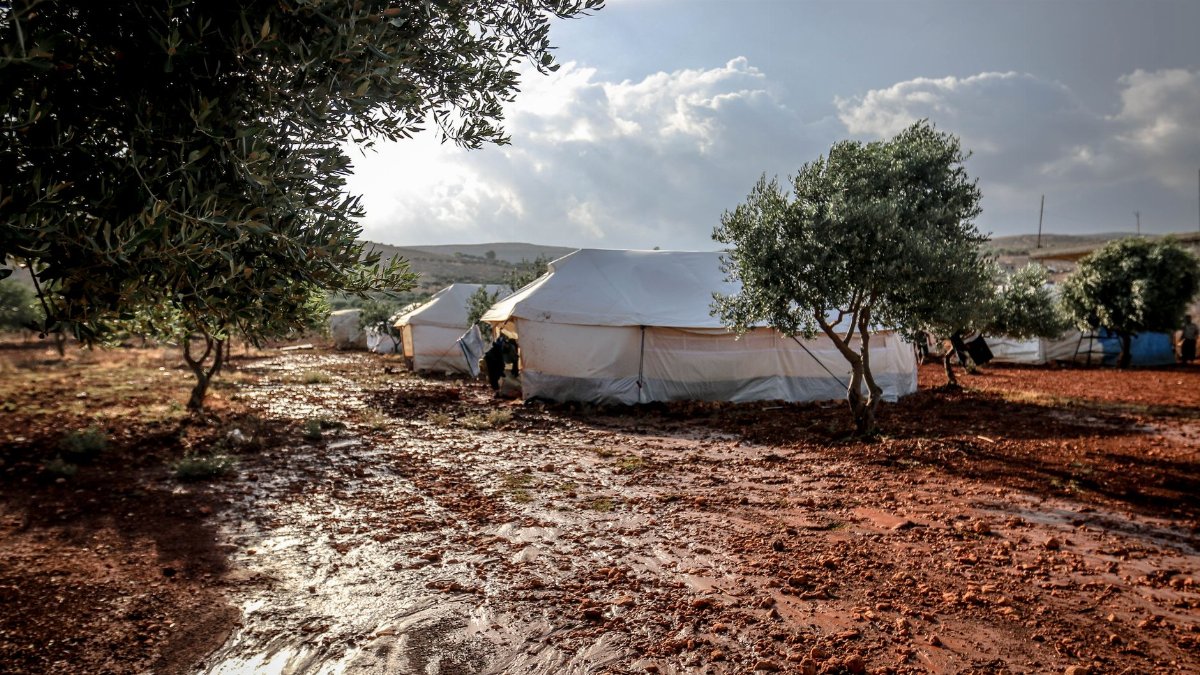 White camping tents located on wet ground near green trees in small rural settlement against cloudy sky in summer day