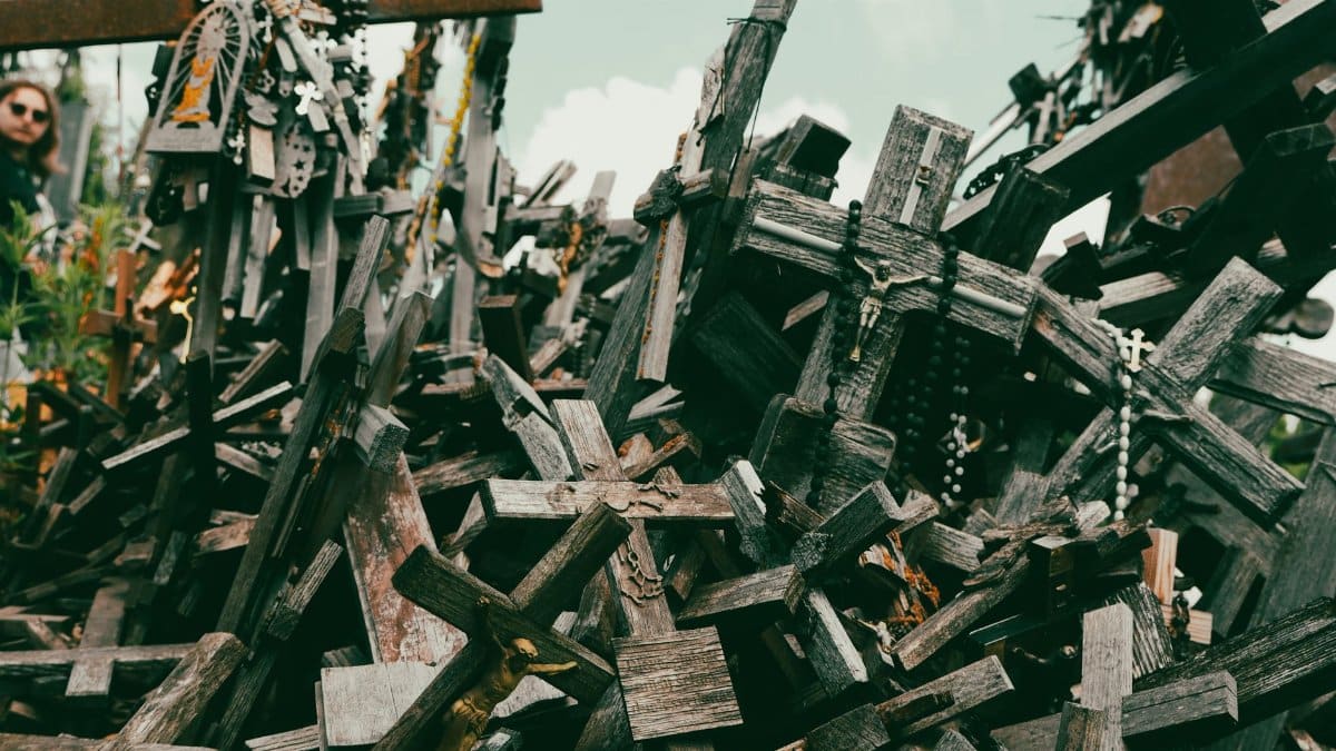 A close-up view of wooden crosses at the Hill of Crosses, a unique pilgrimage site.