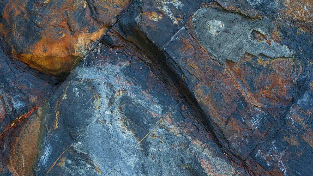Close-up view of textured rock formation with vibrant colors and intricate patterns, showcasing natural beauty.