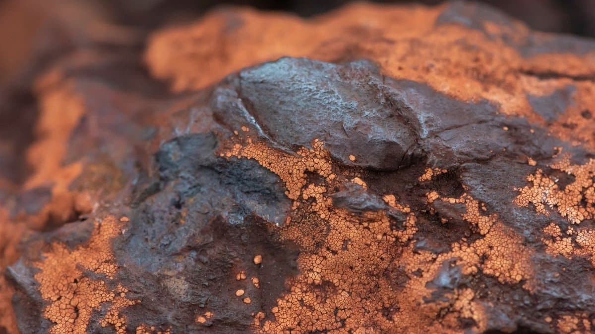 Detailed texture of iron ore rock in Minas Gerais, Brazil, showcasing earthy tones and mineral structures.