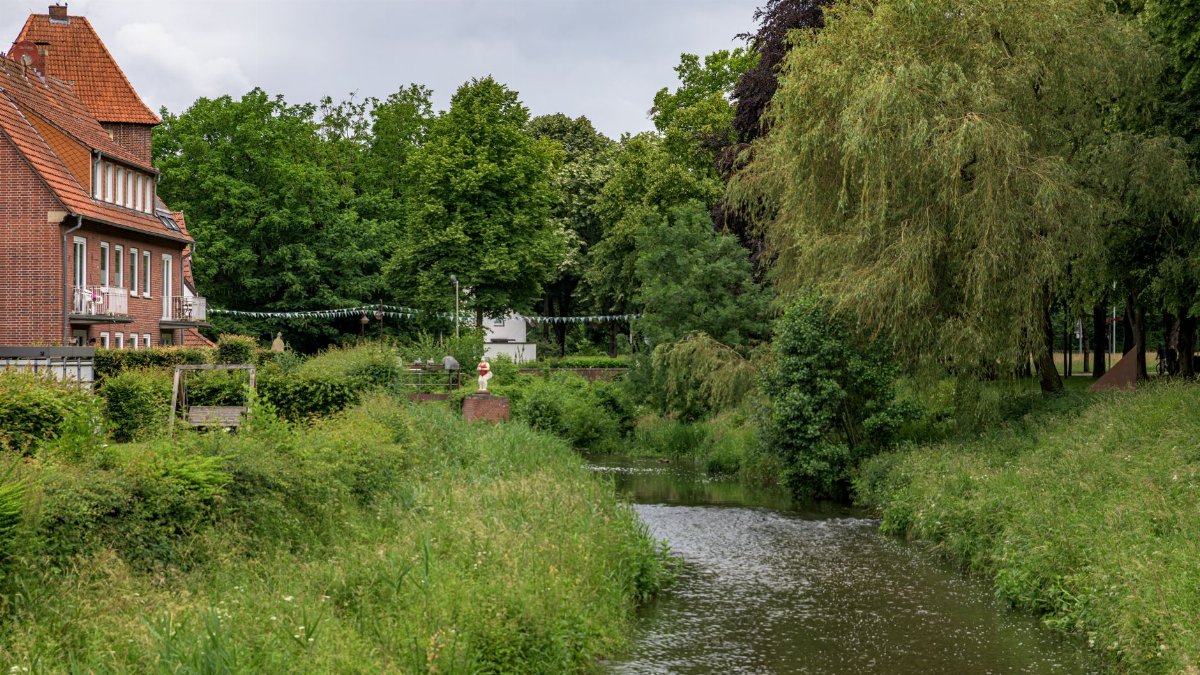 Lush green landscape with a stream and red brick houses in Coesfeld, NRW, Germany, during summer.