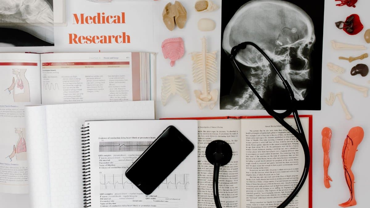 Flat lay of medical research materials with a stethoscope and anatomical models.